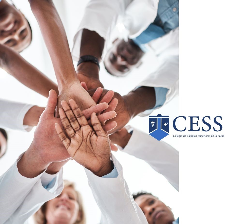 Quienes somos web base 17